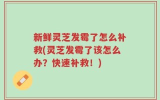 新鲜灵芝发霉了怎么补救(灵芝发霉了该怎么办？快速补救！)