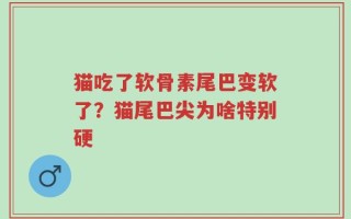 猫吃了软骨素尾巴变软了？猫尾巴尖为啥特别硬