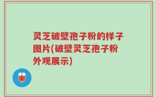 灵芝破壁孢子粉的样子图片(破壁灵芝孢子粉外观展示)