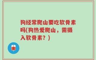 狗经常爬山要吃软骨素吗(狗热爱爬山，需摄入软骨素？)
