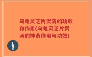 乌龟灵芝片煲汤的功效和作用(乌龟灵芝片煲汤的神奇作用与功效)