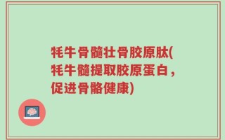 牦牛骨髓壮骨胶原肽(牦牛髓提取胶原蛋白，促进骨骼健康)