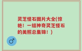 灵芝怪石图片大全(惊艳！一组神奇灵芝怪石的美照总集锦！)