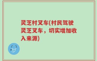 灵芝村叉车(村民驾驶灵芝叉车，切实增加收入来源)