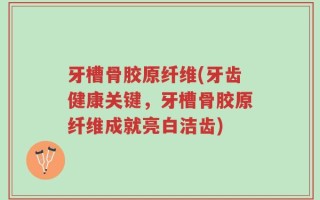 牙槽骨胶原纤维(牙齿健康关键，牙槽骨胶原纤维成就亮白洁齿)