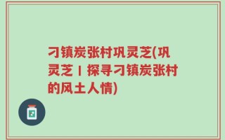 刁镇炭张村巩灵芝(巩灵芝丨探寻刁镇炭张村的风土人情)