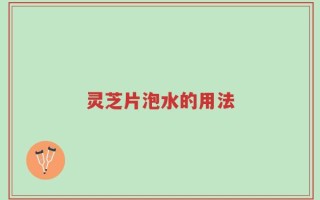 灵芝片泡水的用法