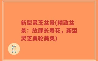 新型灵芝盆景(精致盆景：放肆长寿花，新型灵芝美轮美奂)