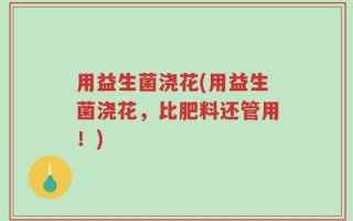 用益生菌浇花(用益生菌浇花，比肥料还管用！)