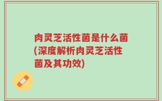 肉灵芝活性菌是什么菌(深度解析肉灵芝活性菌及其功效)