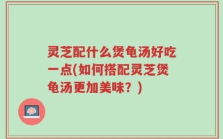 灵芝配什么煲龟汤好吃一点(如何搭配灵芝煲龟汤更加美味？)