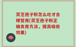 灵芝孢子粉怎么吃才合理管用(灵芝孢子粉正确食用方法，提高吸收效果)