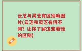 云芝与灵芝有区别嘛图片(云芝和灵芝有何不同？让你了解这些蘑菇的区别)