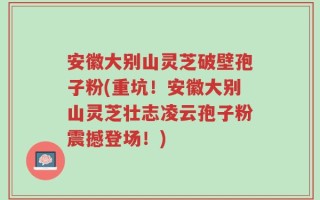 安徽大别山灵芝破壁孢子粉(重坑！安徽大别山灵芝壮志凌云孢子粉震撼登场！)