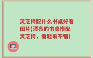 灵芝椅配什么书桌好看图片(漂亮的书桌搭配灵芝椅，看起来不错)