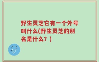 野生灵芝它有一个外号叫什么(野生灵芝的别名是什么？)