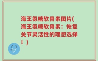 海王氨糖软骨素图片(海王氨糖软骨素：恢复关节灵活性的理想选择！)