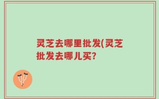 灵芝去哪里批发(灵芝批发去哪儿买？