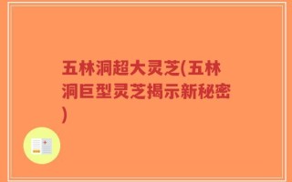 五林洞超大灵芝(五林洞巨型灵芝揭示新秘密)