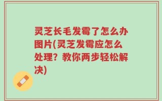 灵芝长毛发霉了怎么办图片(灵芝发霉应怎么处理？教你两步轻松解决)