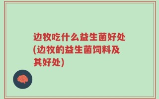 边牧吃什么益生菌好处(边牧的益生菌饲料及其好处)
