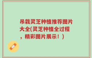 吊栽灵芝种植推荐图片大全(灵芝种植全过程，精彩图片展示！)
