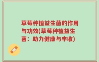 草莓种植益生菌的作用与功效(草莓种植益生菌：助力健康与丰收)