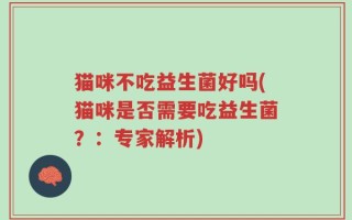 猫咪不吃益生菌好吗(猫咪是否需要吃益生菌？：专家解析)