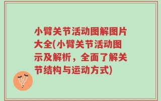 小臂关节活动图解图片大全(小臂关节活动图示及解析，全面了解关节结构与运动方式)