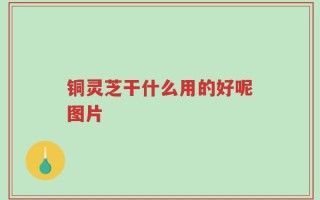 铜灵芝干什么用的好呢图片