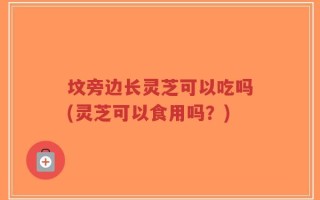 坟旁边长灵芝可以吃吗(灵芝可以食用吗？)