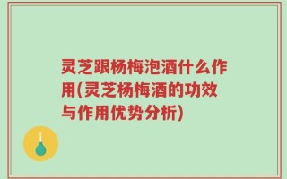 灵芝跟杨梅泡酒什么作用(灵芝杨梅酒的功效与作用优势分析)