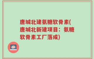 唐城北建氨糖软骨素(唐城北新建项目：氨糖软骨素工厂落成)