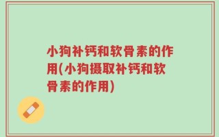 小狗补钙和软骨素的作用(小狗摄取补钙和软骨素的作用)