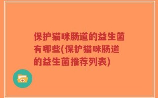 保护猫咪肠道的益生菌有哪些(保护猫咪肠道的益生菌推荐列表)