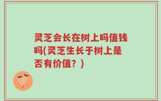 灵芝会长在树上吗值钱吗(灵芝生长于树上是否有价值？)