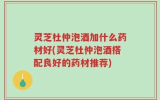 灵芝杜仲泡酒加什么药材好(灵芝杜仲泡酒搭配良好的药材推荐)