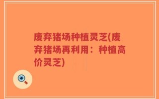 废弃猪场种植灵芝(废弃猪场再利用：种植高价灵芝)