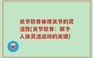 关节软骨体现关节的灵活性(关节软骨：赋予人体灵活运动的关键)