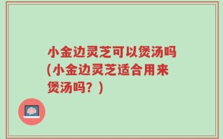 小金边灵芝可以煲汤吗(小金边灵芝适合用来煲汤吗？)
