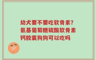 幼犬要不要吃软骨素？氨基葡萄糖硫酸软骨素钙胶囊狗狗可以吃吗