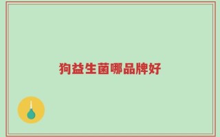 狗益生菌哪品牌好