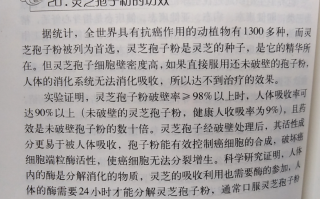 肺癌能喝灵芝孢子粉吗？能起到哪些作用？