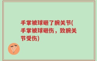 手掌被球砸了腕关节(手掌被球砸伤，致腕关节受伤)