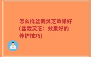 怎么样盆栽灵芝效果好(盆栽灵芝：效果好的养护技巧)