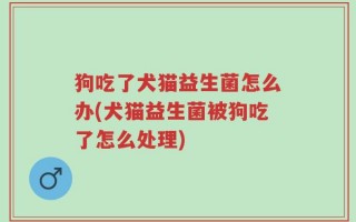 狗吃了犬猫益生菌怎么办(犬猫益生菌被狗吃了怎么处理)