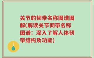 关节的韧带名称图谱图解(解读关节韧带名称图谱：深入了解人体韧带结构及功能)