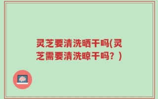 灵芝要清洗晒干吗(灵芝需要清洗晾干吗？)