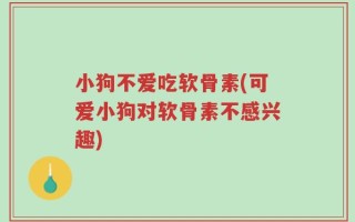 小狗不爱吃软骨素(可爱小狗对软骨素不感兴趣)