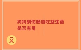 狗狗划伤肠道吃益生菌是否有用